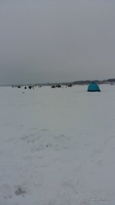 20160123_073949.jpg