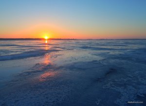 Печенеги, под Черным лесом 30.01.2016_03.jpg