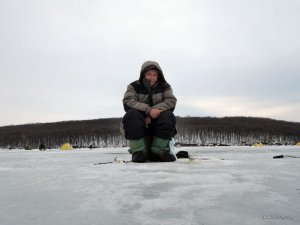 Печенеги, под Черным лесом 30.01.2016_11_1.JPG