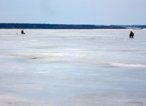 Печенеги, под Черным лесом 30.01.2016_16.jpg