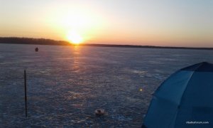 20160220_065046.jpg