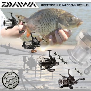 Daiwa-Carp.jpg