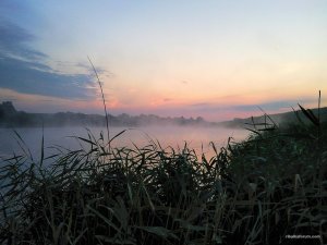 Ч. Лозовая 2016-07-11_04-1.jpg