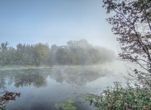 Гинеевка 19.09.2016_07.jpg