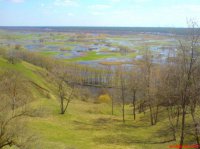 Змиевские пейзажи.Весеннее утро.от march-yu.jpg