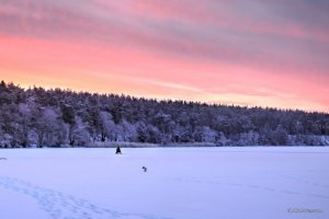 Малышевский залив 2016.11.01_04_1.jpg