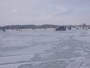 Хотомля 22.02.2017_10.JPG