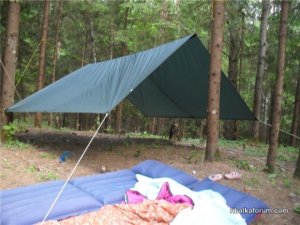 tent5.jpg