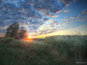 Рясное 19.07.2017_03.jpg