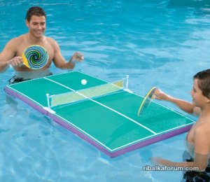 ping-pong-piscine.jpg