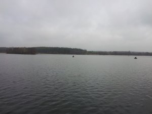 20121110_104310.jpg