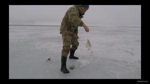 ЖОР плотвы и окуня в глухозимье. Зимняя рыбалка 2019.00_42_58_20.неподвижное изображение004.jpg