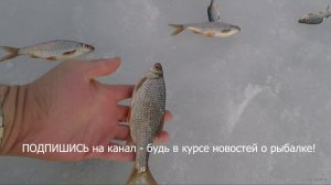 Ловля плотвы зимой на мормышку в Старом Салтове. Зимняя рыбалка 2019. 011.jpg