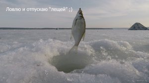 Ловля плотвы зимой на мормышку в Старом Салтове. Зимняя рыбалка 2019 005.jpg