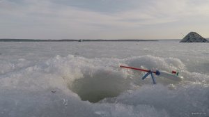 Ловля плотвы зимой на мормышку в Старом Салтове. Зимняя рыбалка 2019 004.jpg