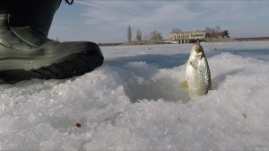 Ловля плотвы зимой на мормышку в Старом Салтове. Зимняя рыбалка 2019 002.jpg