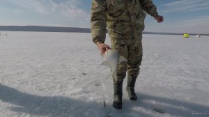 Резкий сброс воды на водохранилище каким будет клев Зимняя рыбалка 2019.003.jpg