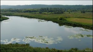 В поисках неуловимого карася на озерах Северского Донца. 001.jpg