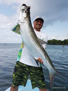 tarpon-caye-lodge-belize.jpg