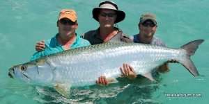 tarpon_1000px_inside_003-e1459556154675.jpg