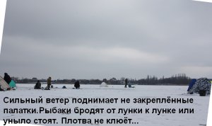 Копия ---- 008.jpg