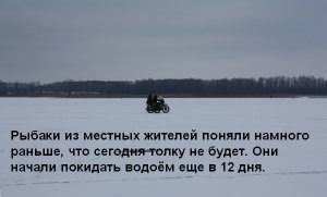 Копия ---- 010.jpg