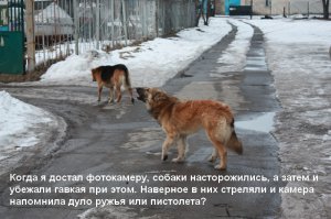 Копия 01122 021.jpg