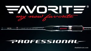 Favorite-Professional-New-Promo-700x394.jpg