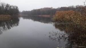 20201108_090213.jpg