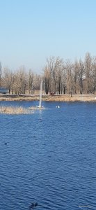 20201120_102306.jpg