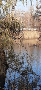 20201120_102049.jpg