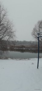 20201122_074411.jpg