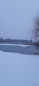 20201122_074405.jpg