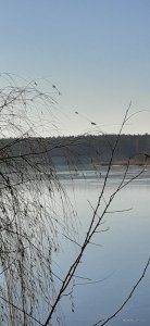 20201206_110525.jpg