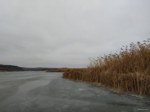 IMG_20201213_091257.jpg