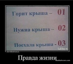 изображение_viber_2021-01-31_12-16-47.jpg