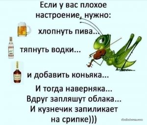 изображение_viber_2021-05-21_09-02-50.jpg