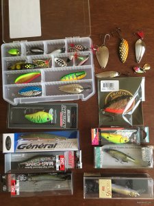 Lures from Flagman & Profish.JPG