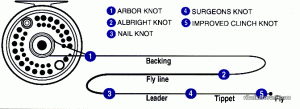 Fly fishing knots fly-line-diagram.gif