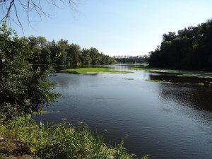 Гинеевка 2013-07-09_02.JPG