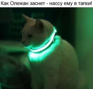 Безымянный.png