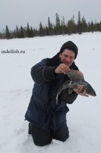 Рыбалка на хариуса зимой.jpg