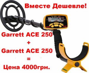 metaloshukach_garrett_ace_250_10.jpg