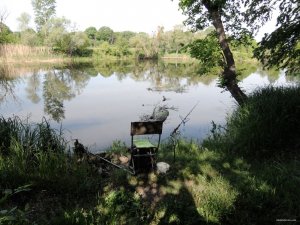 Северский Донец Гинеевка 2014-05-16.JPG