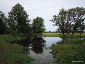 Мжа Ракитное 04.06.2014_02_1_1.JPG