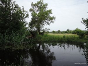 Мжа Ракитное 04.06.2014_07_1_1.JPG