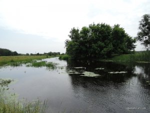 Мжа Ракитное 04.06.2014_16_1_1.JPG