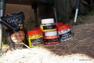 boilies-1.jpg