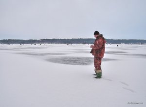 Хотомля, бугор  2016 .01.17_03.jpg