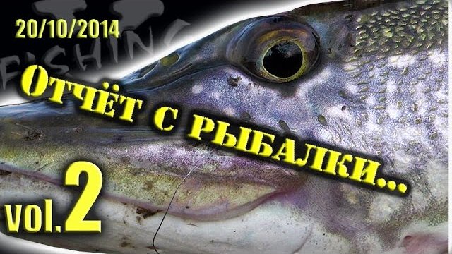 Ловля Щуки на Джиг в Октябре Отчет с Рыбалки. vol 2.